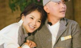 刘涛老公爆料最新,揭秘明星夫妻背后的真实生活