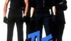 刀手粤语在线观看,刀光剑影，激情四溢